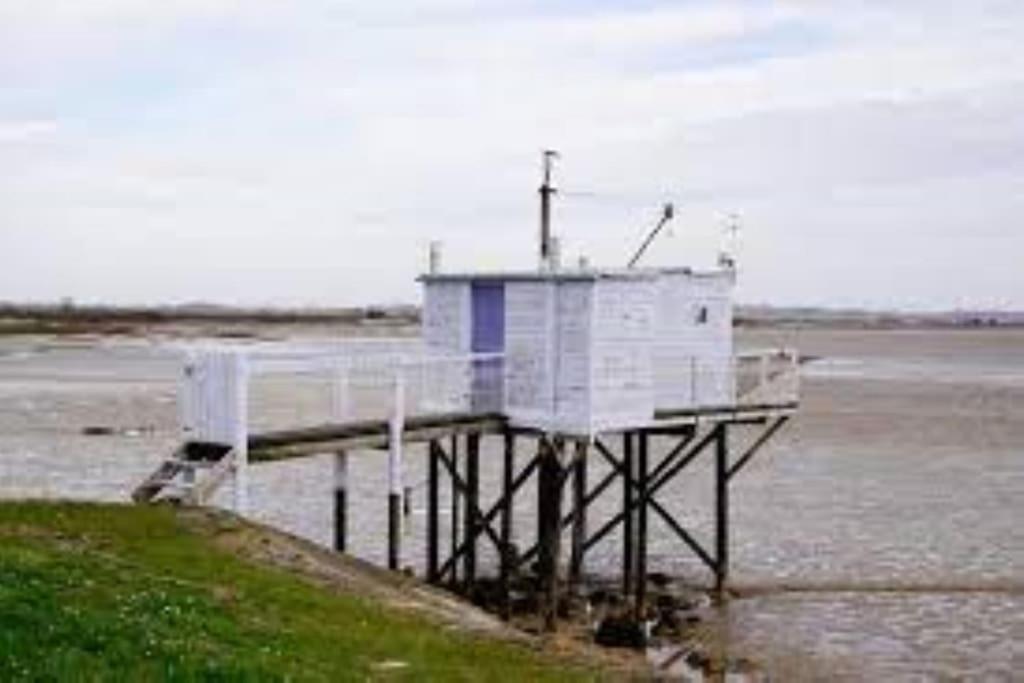 Cussac-Fort-Medoc Maison Au Coeur Des Vignes מראה חיצוני תמונה